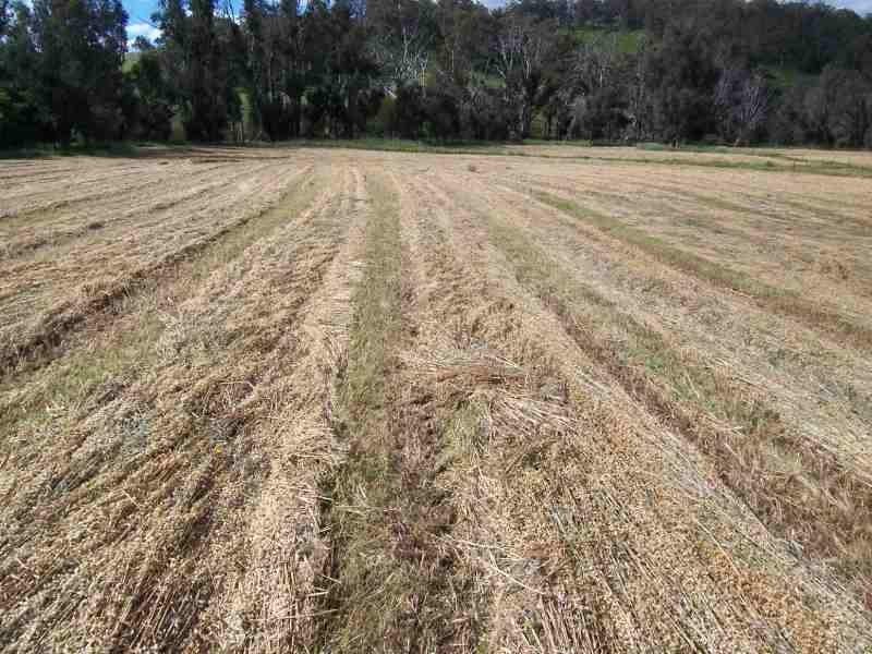 32 Fowler Street, Yabberup WA 6239