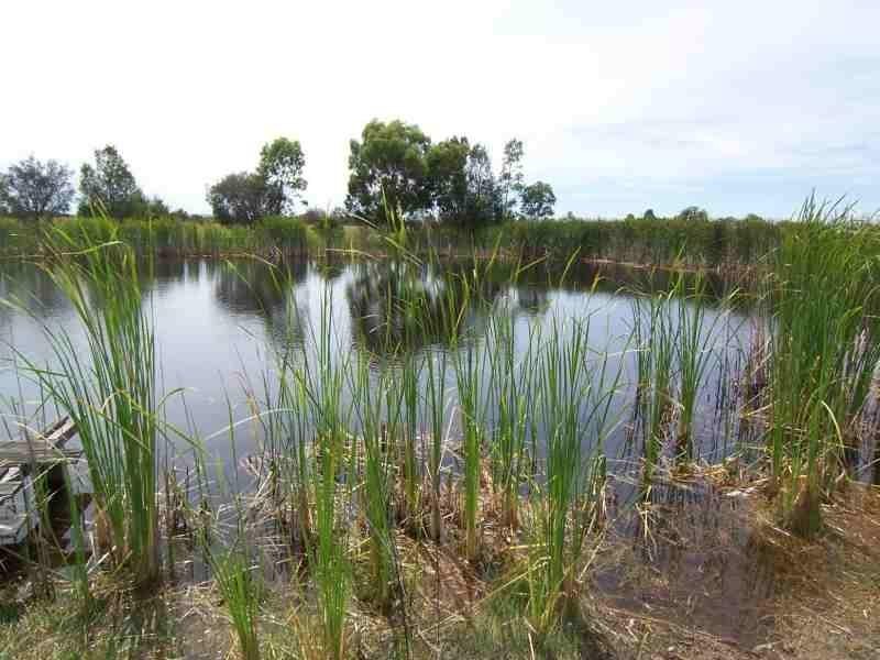 271 Mundijong Road, Baldivis WA 6171