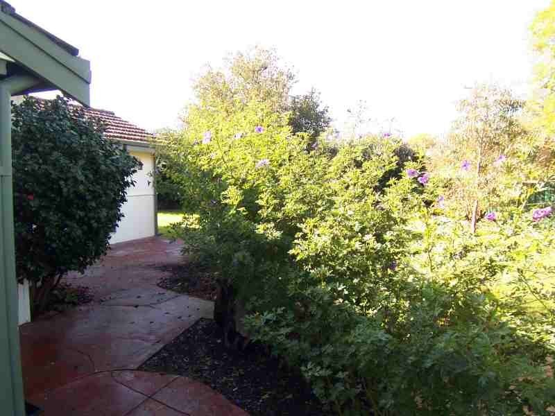 12 Cowley Street, Boyup Brook WA 6244