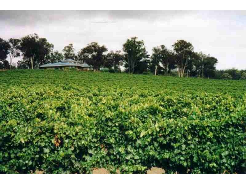 1829 Cranbrook Rd, Boyup Brook WA 6244