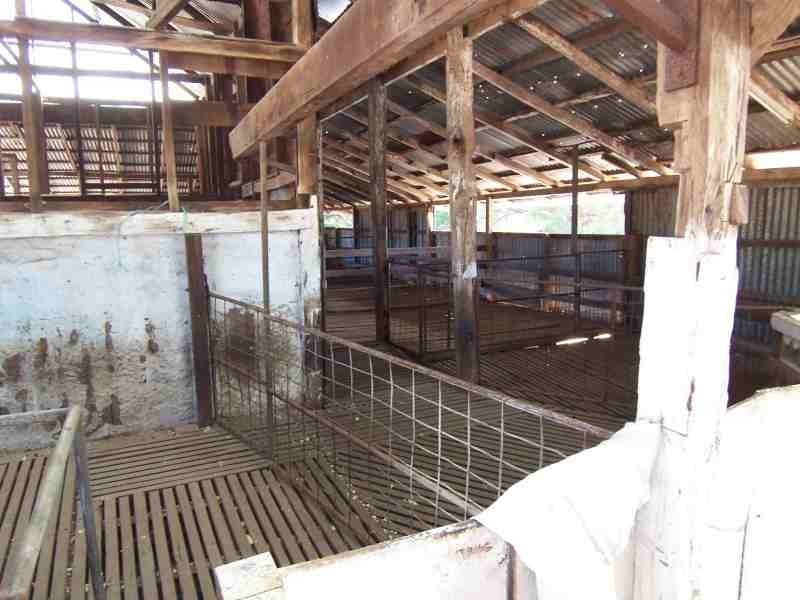 1829 Cranbrook Rd, Boyup Brook WA 6244