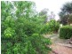 10 Robinson Avenue, Boyup Brook WA 6244