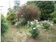 10 Robinson Avenue, Boyup Brook WA 6244
