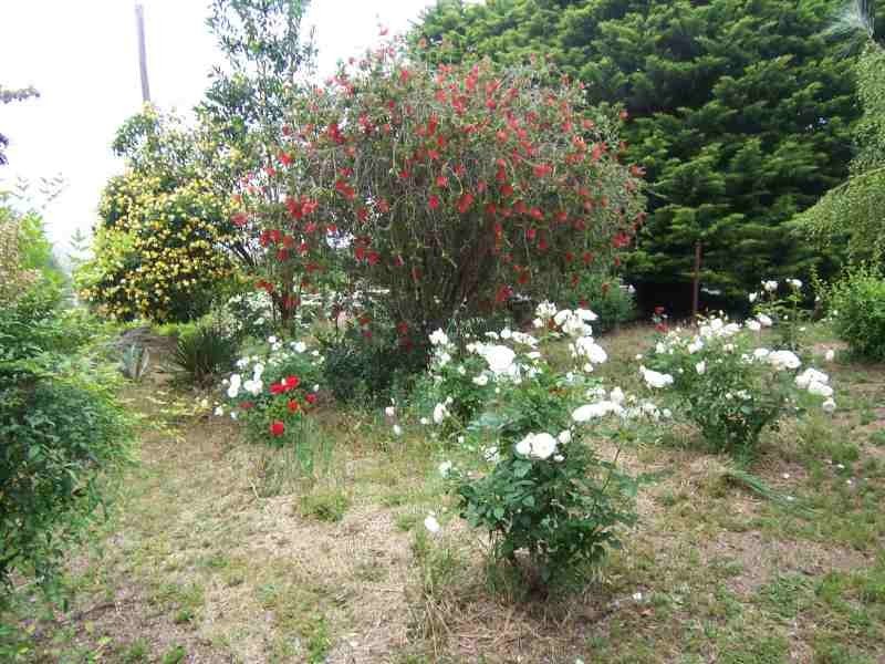 10 Robinson Avenue, Boyup Brook WA 6244