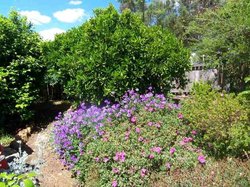 82 Steere Street, Bridgetown WA 6255