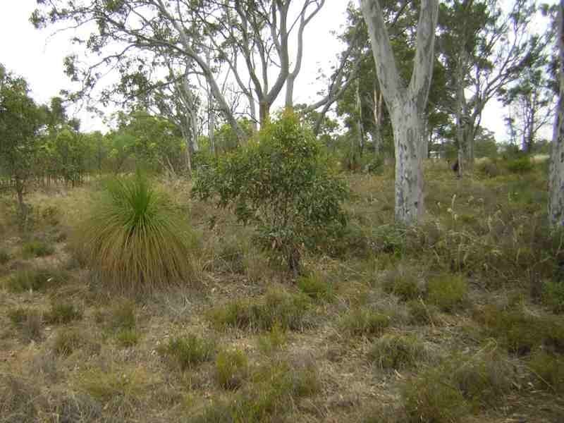 3 Upper Blackwood Road, Dinninup WA 6244