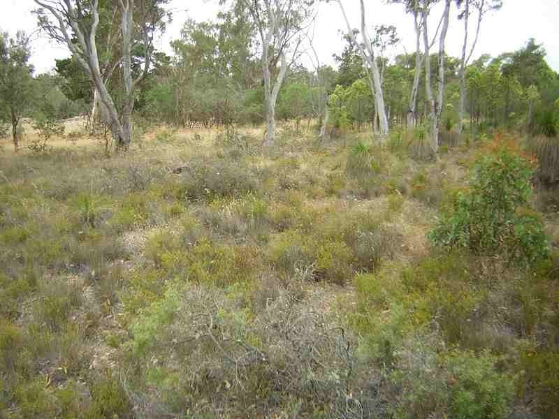 3 Upper Blackwood Road, Dinninup WA 6244