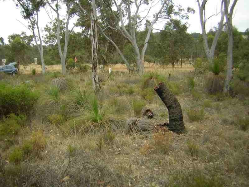 3 Upper Blackwood Road, Dinninup WA 6244