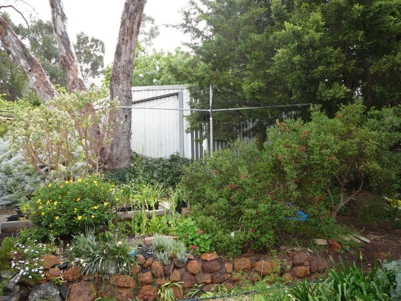 17 Coronation Street, Bridgetown WA 6255