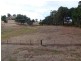 6 Adams Road, Bridgetown WA 6255
