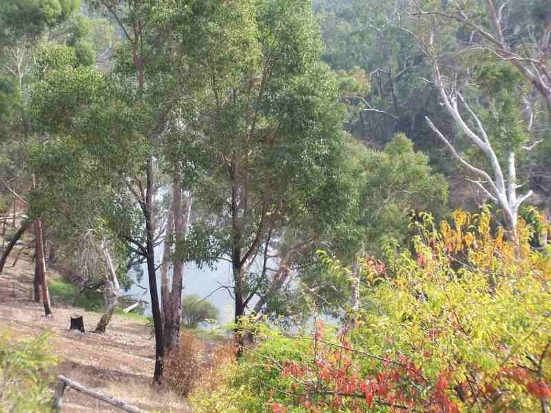 61 Southwest Highway, Bridgetown WA 6255