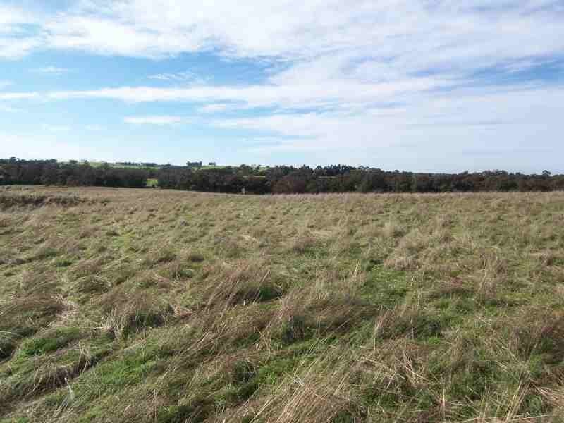 LOT 102 Rainoldi Road, Boyup Brook WA 6244