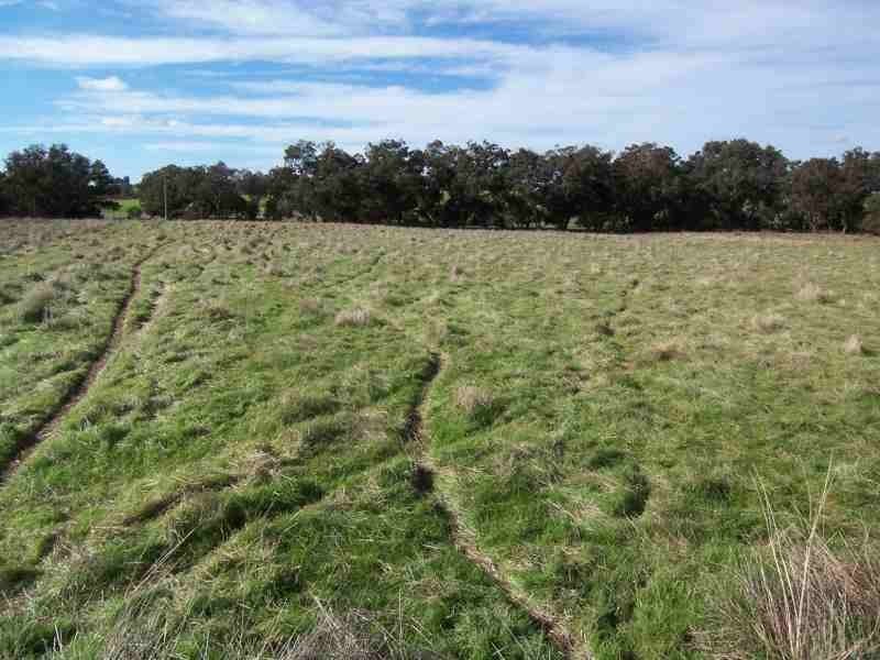 LOT 102 Rainoldi Road, Boyup Brook WA 6244