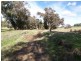 LOT 102 Rainoldi Road, Boyup Brook WA 6244