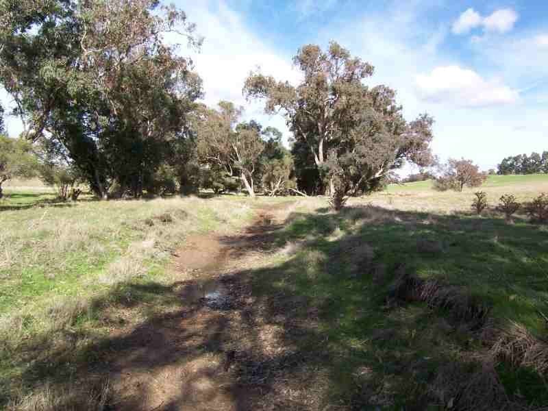 LOT 102 Rainoldi Road, Boyup Brook WA 6244