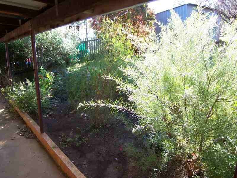 9 Coronation Street, Bridgetown WA 6255