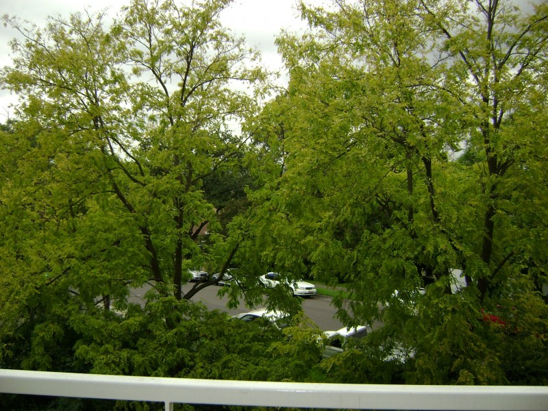 Pennant Hills NSW 2120