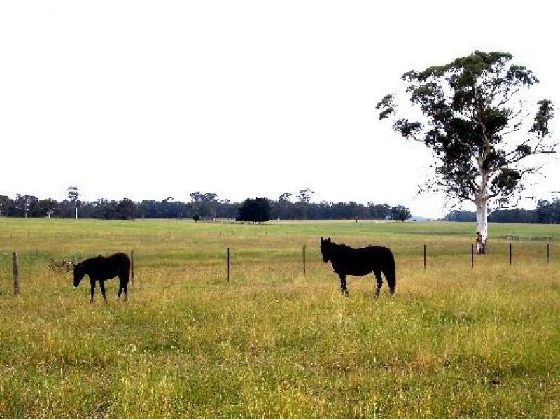 Lot 13 Canyonleigh Road, Canyonleigh NSW 2577