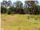 Kangaroo Valley NSW 2577