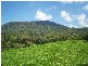 Lot 4 Moss Vale Road, Kangaroo Valley NSW 2577