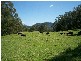 Lot 2 Battys Road, Kangaroo Valley NSW 2577
