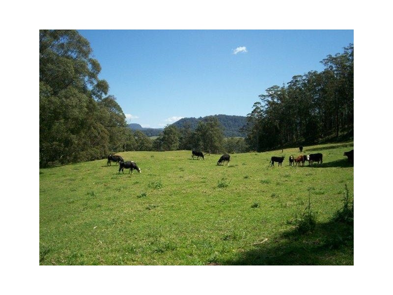 Lot 2 Battys Road, Kangaroo Valley NSW 2577