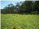 Lot 2 Battys Road, Kangaroo Valley NSW 2577