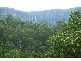 95A Willowglen Road, Kangaroo Valley NSW 2577