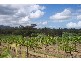 520 Illaroo Road, Cambewarra NSW 2540