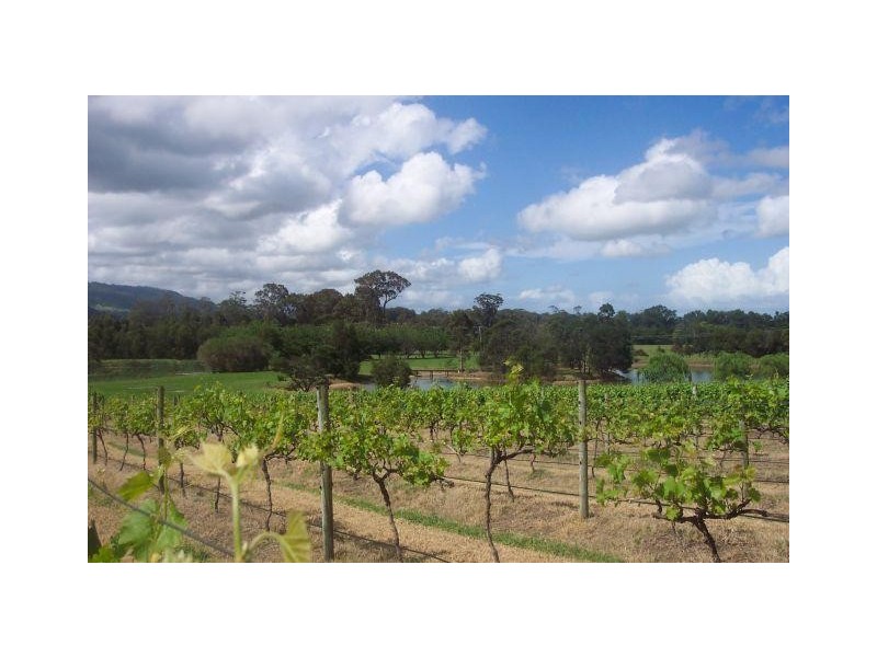 520 Illaroo Road, Cambewarra NSW 2540