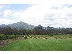 520 Illaroo Road, Cambewarra NSW 2540