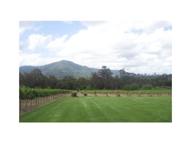 520 Illaroo Road, Cambewarra NSW 2540