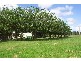 520 Illaroo Road, Cambewarra NSW 2540