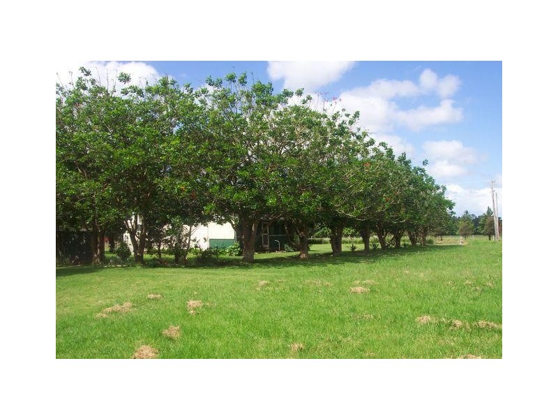 520 Illaroo Road, Cambewarra NSW 2540
