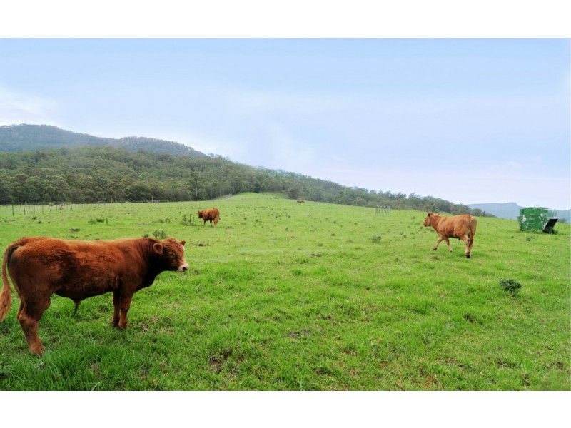 120 Bendeela Road, Kangaroo Valley NSW 2577