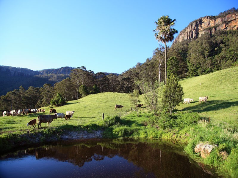 100 Carters Road, Kangaroo Valley NSW 2577
