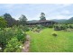 120 Bendeela Road, Kangaroo Valley NSW 2577