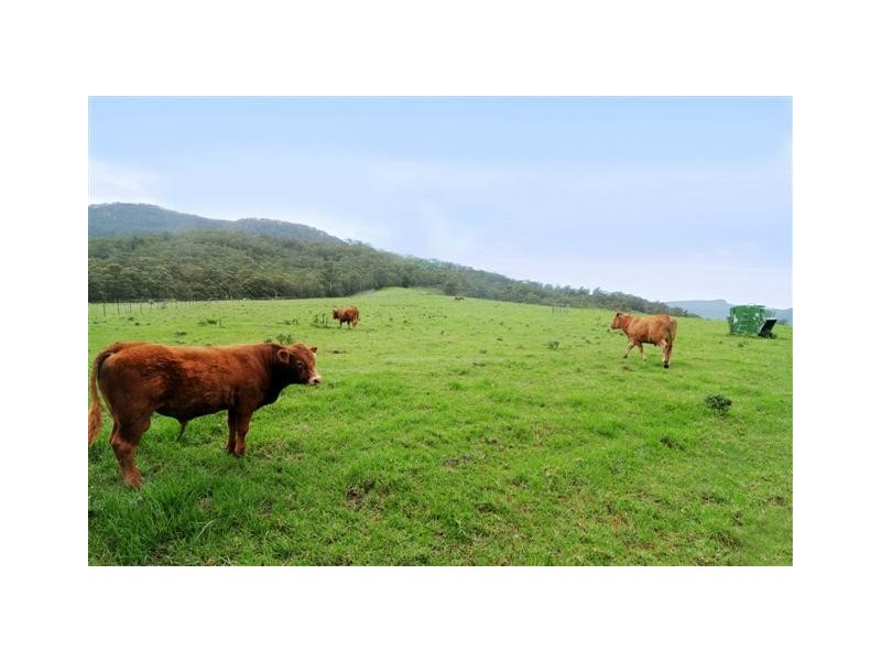 120 Bendeela Road, Kangaroo Valley NSW 2577