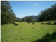 Lot 2 Battys Road, Kangaroo Valley NSW 2577