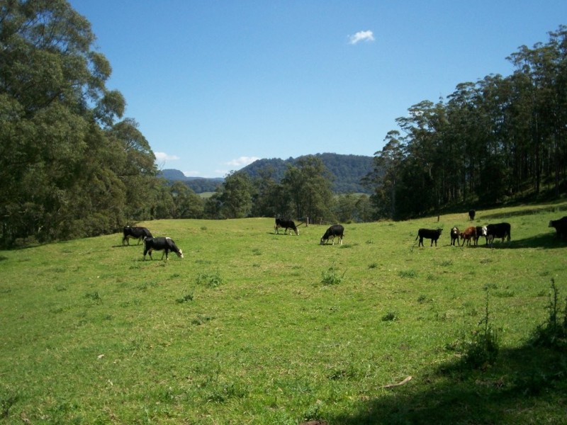 Lot 2 Battys Road, Kangaroo Valley NSW 2577