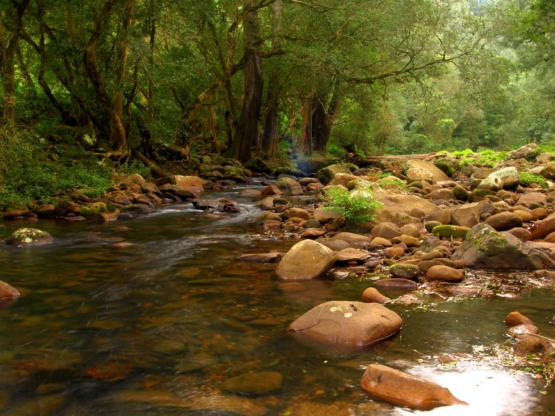 Lot A Bunkers Hill Road, Kangaroo Valley NSW 2577