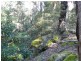 573 Jacks Corner Road, Kangaroo Valley NSW 2577