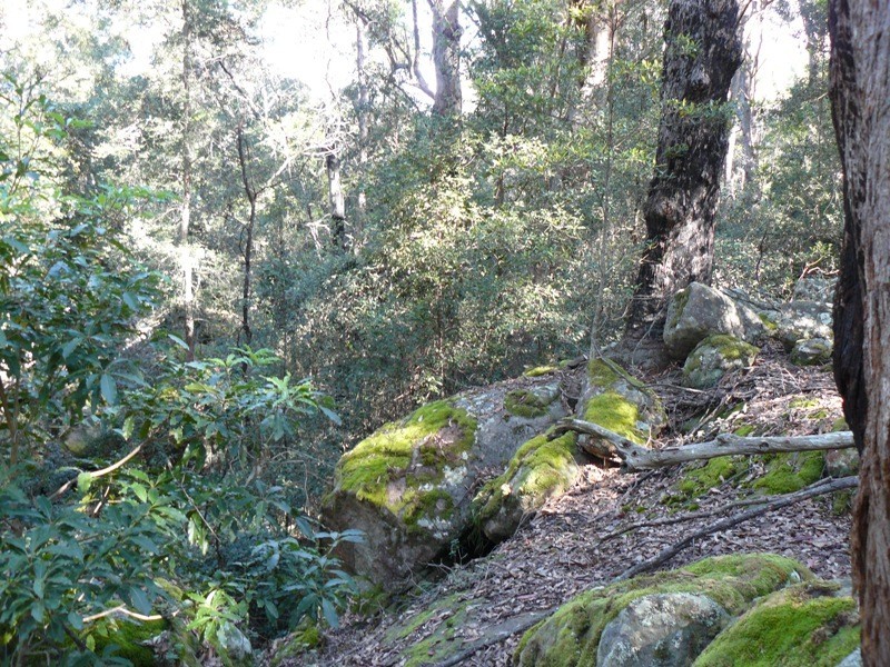 573 Jacks Corner Road, Kangaroo Valley NSW 2577