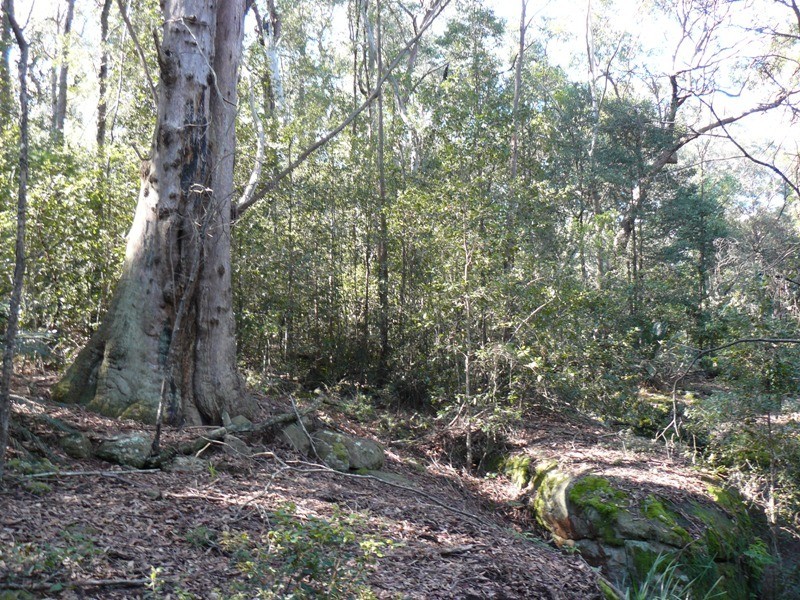 573 Jacks Corner Road, Kangaroo Valley NSW 2577
