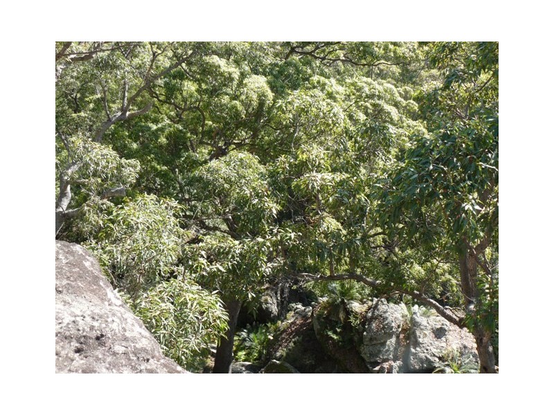 251 Abernethys Road, Kangaroo Valley NSW 2577