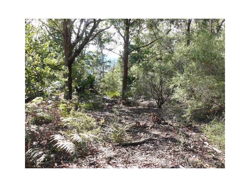 251 Abernethys Road, Kangaroo Valley NSW 2577