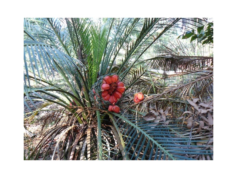 251 Abernethys Road, Kangaroo Valley NSW 2577