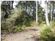 251 Abernethys Road, Kangaroo Valley NSW 2577
