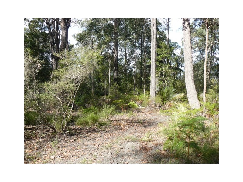 251 Abernethys Road, Kangaroo Valley NSW 2577