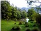 80 Treefern Road, Kangaroo Valley NSW 2577